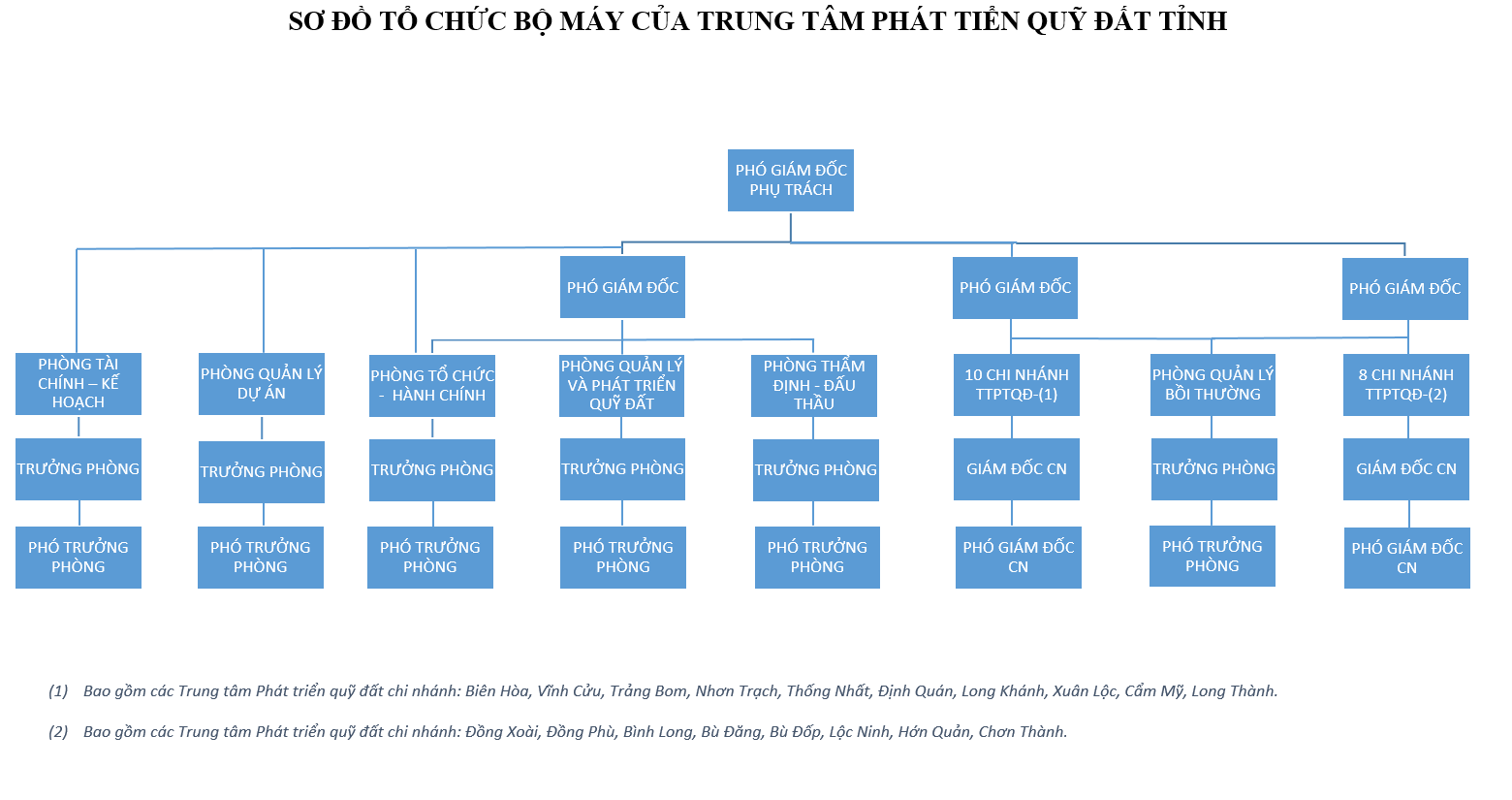 Sơ đồ tổ chức bộ máy TTPTQĐ.png