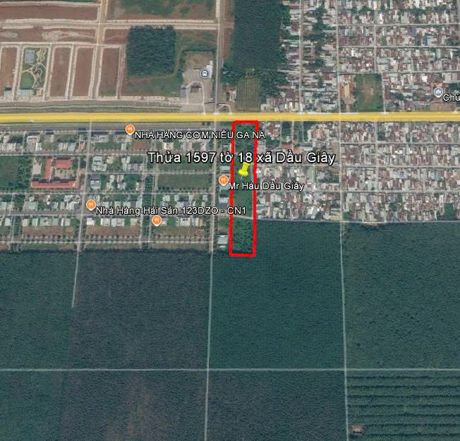 thua 1579 to 19 Dau Giay 2.jpg